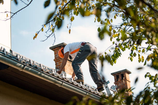 Best Roof Ventilation Installation  in Jacksboro, TX