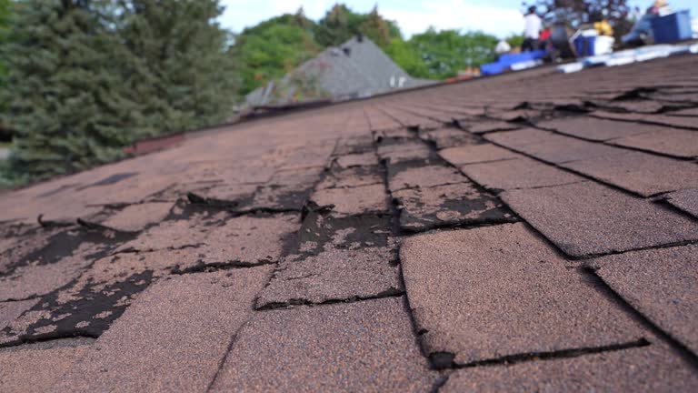 Best Flat Roofing  in Jacksboro, TX