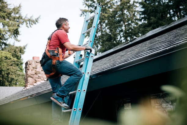 Best Roof Moss and Algae Removal  in Jacksboro, TX